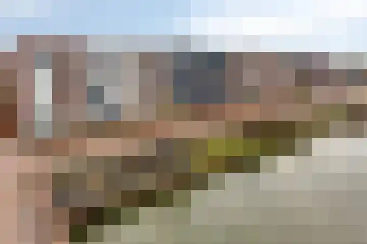 Tuba 7 Oud-Beijerland thumbnail 30
