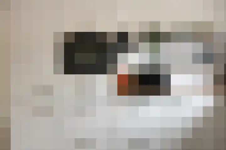 Tuba 7 Oud-Beijerland thumbnail 8