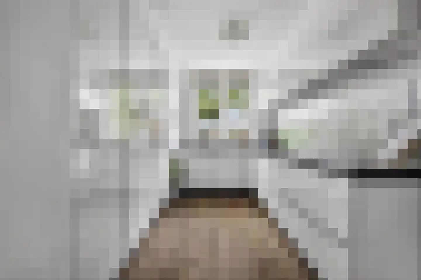 Tubadreef 18 Harderwijk thumbnail 13