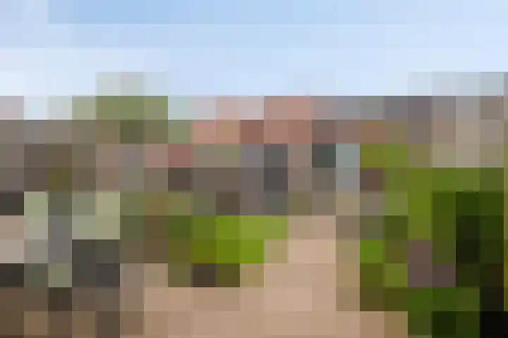 Tubadreef 22 Harderwijk thumbnail 24
