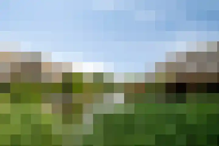 Tubadreef 22 Harderwijk thumbnail 32