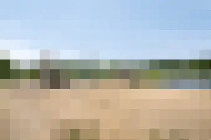 Tubadreef 22 Harderwijk thumbnail 33