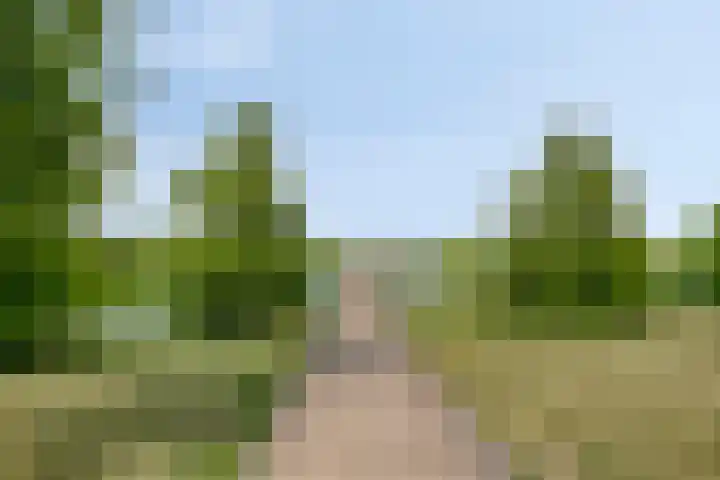 Tubadreef 22 Harderwijk thumbnail 35