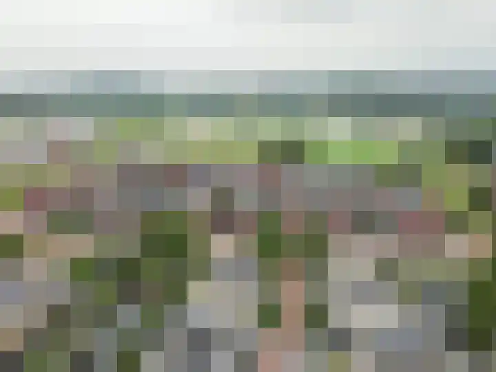 Tubadreef 22 Harderwijk thumbnail 38