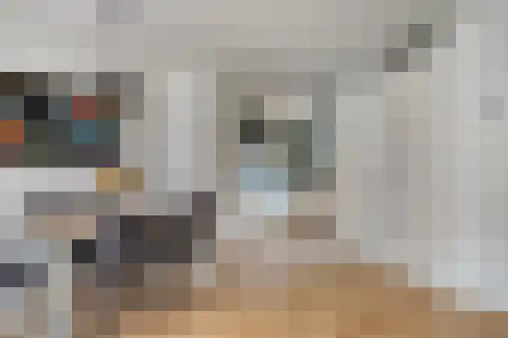 Tubadreef 22 Harderwijk thumbnail 9