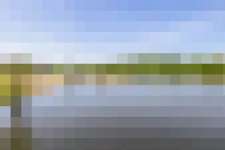 Tubadreef 42 Harderwijk thumbnail 30