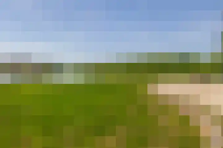Tubadreef 42 Harderwijk thumbnail 32