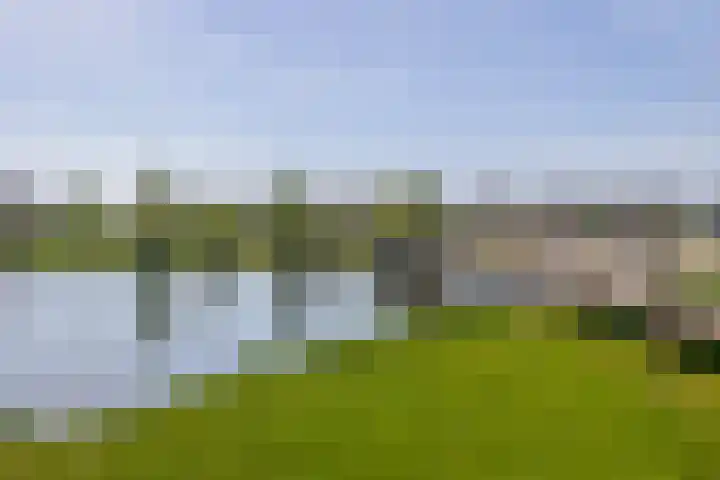 Tubadreef 42 Harderwijk thumbnail 33