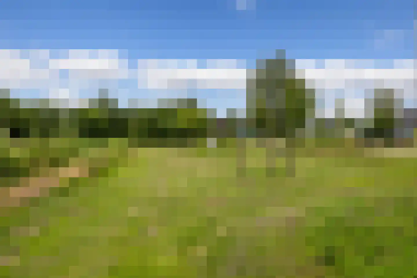 Tubadreef 52 Harderwijk thumbnail 48