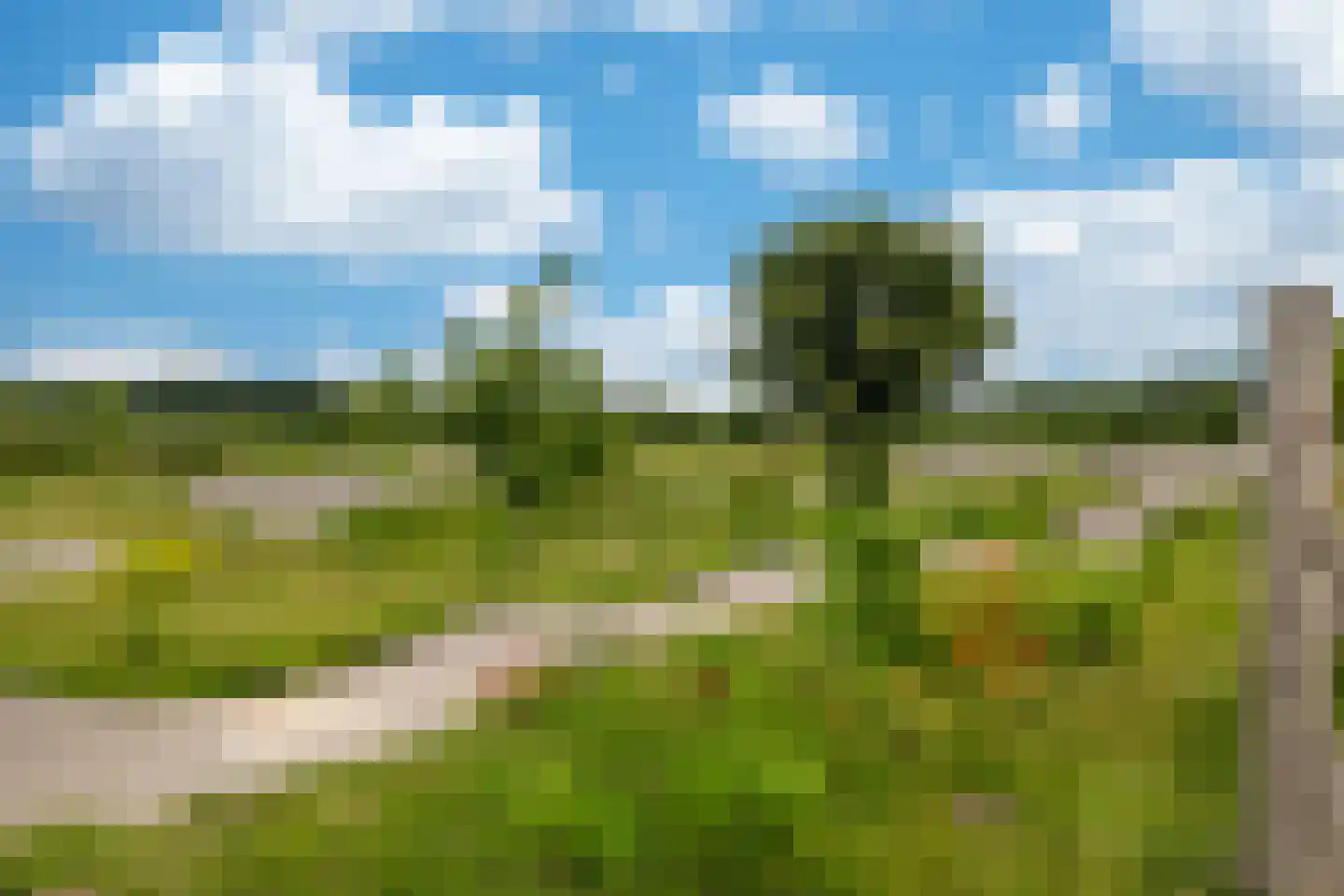Tubadreef 52 Harderwijk thumbnail 49