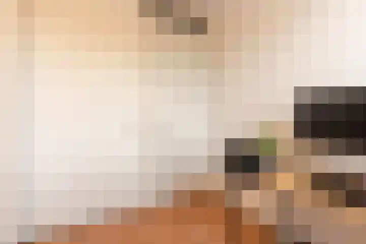 Tubadreef 59 Harderwijk thumbnail 32