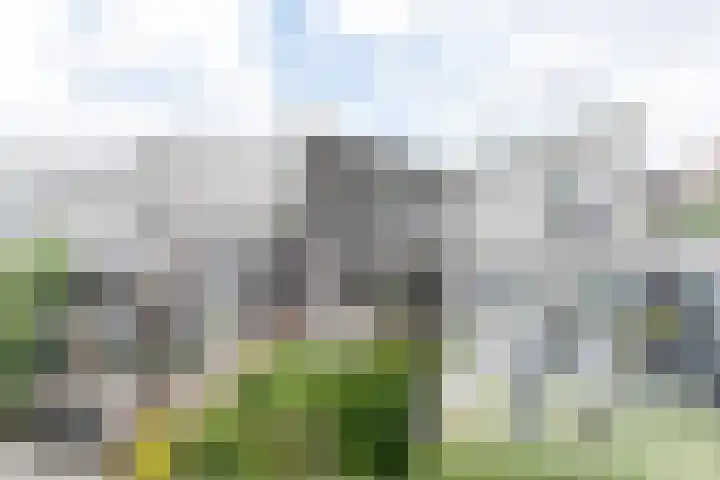 Tubadreef 59 Harderwijk thumbnail 36