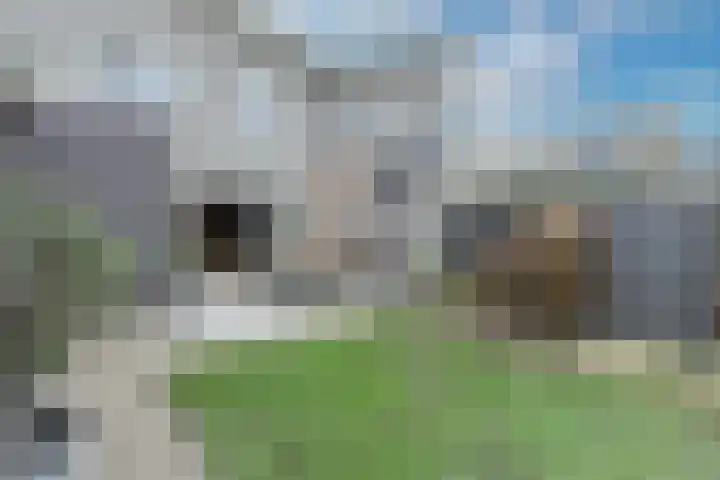 Tubadreef 59 Harderwijk thumbnail 37