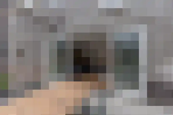 Tubadreef 59 Harderwijk thumbnail 38