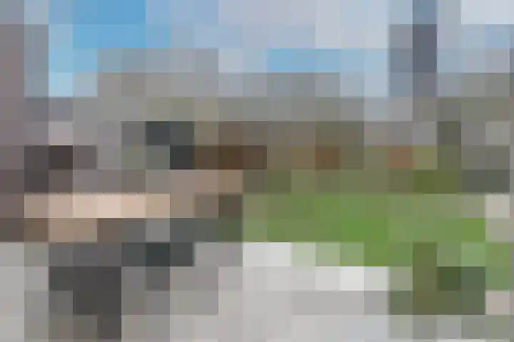 Tubadreef 59 Harderwijk thumbnail 40