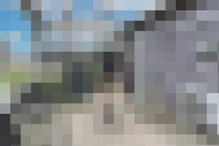 Tubadreef 59 Harderwijk thumbnail 41