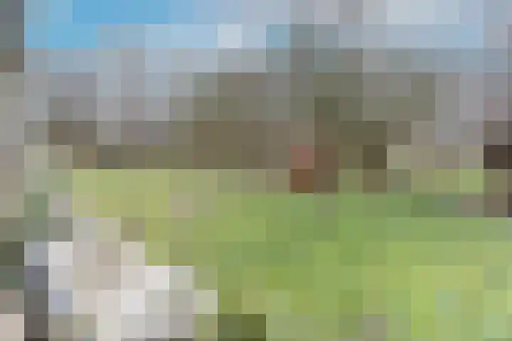 Tubadreef 59 Harderwijk thumbnail 43