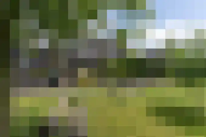 Tubadreef 59 Harderwijk thumbnail 46