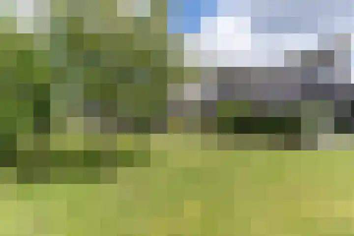 Tubadreef 59 Harderwijk thumbnail 47