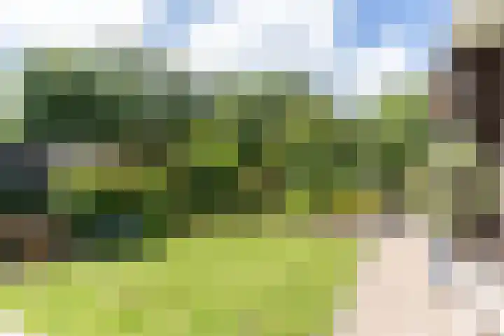 Tubadreef 59 Harderwijk thumbnail 48