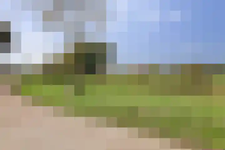 Tubadreef 70 Harderwijk thumbnail 36