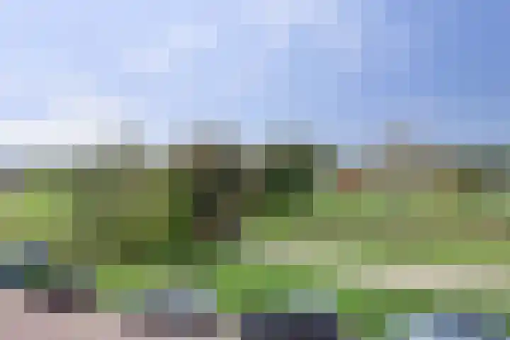 Tubadreef 70 Harderwijk thumbnail 37
