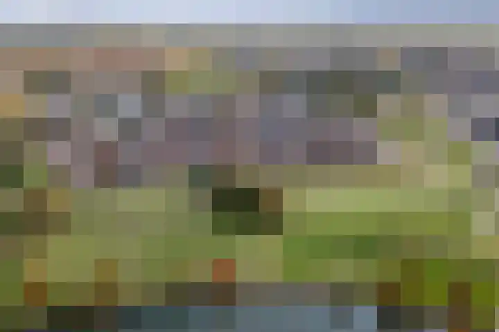 Tubadreef 70 Harderwijk thumbnail 39