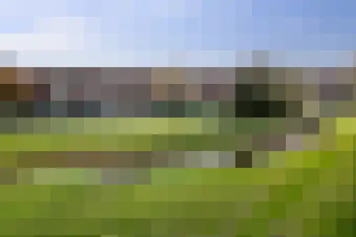 Tubadreef 70 Harderwijk thumbnail 40