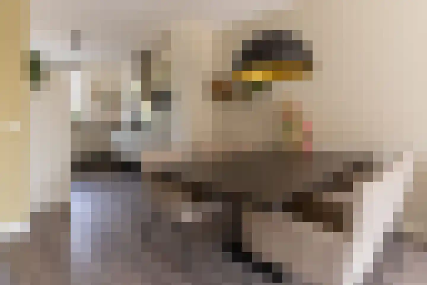 Tubadreef 72 Harderwijk thumbnail 17