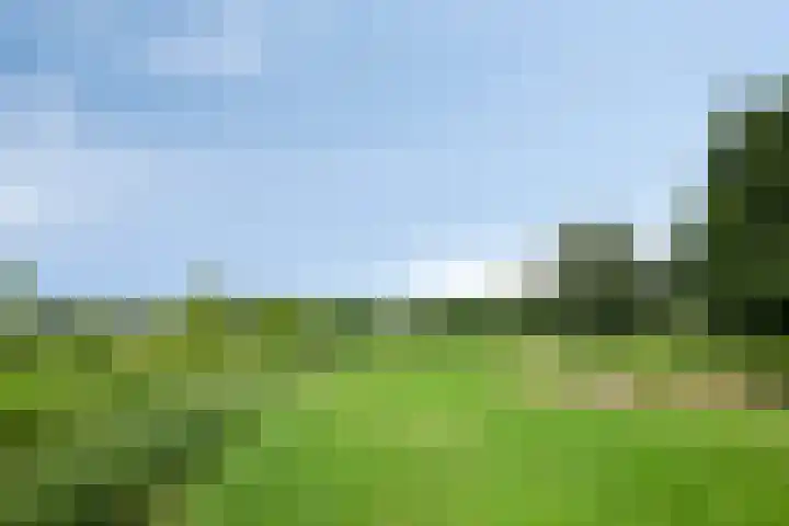 Tubadreef 8 Harderwijk thumbnail 32