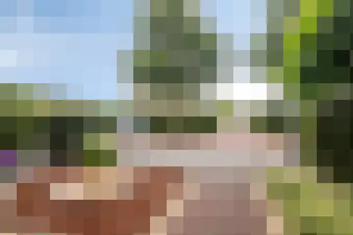 Tubadreef 8 Harderwijk thumbnail 4