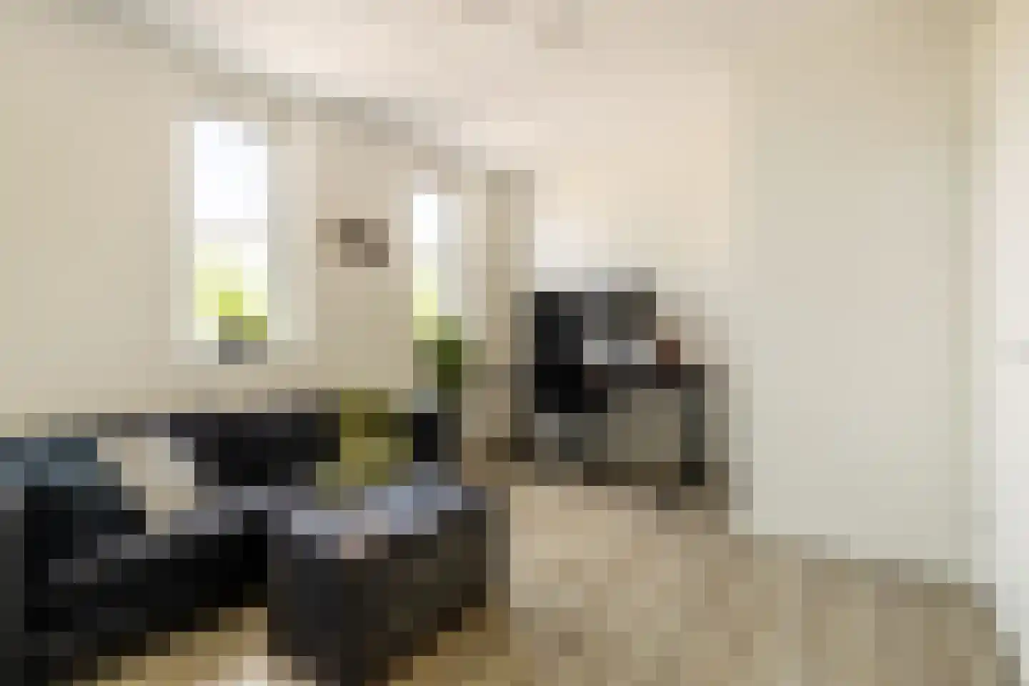 Tubadreef 84 Harderwijk thumbnail 16