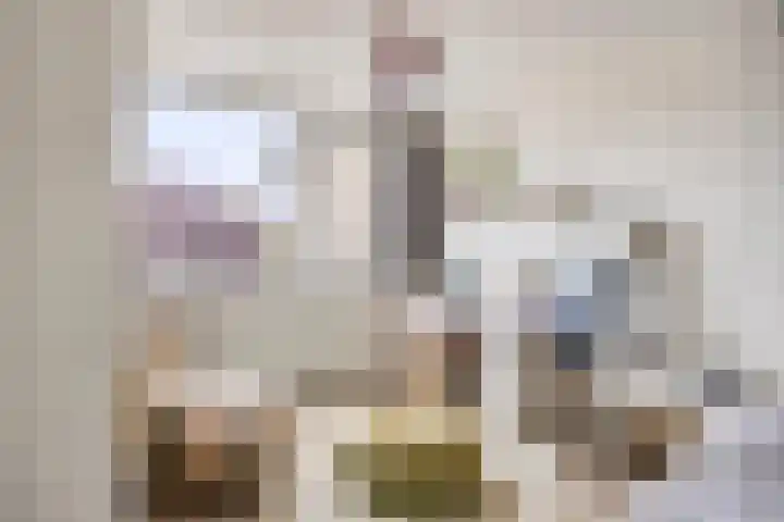 Tubahof 11 Etten-Leur thumbnail 14