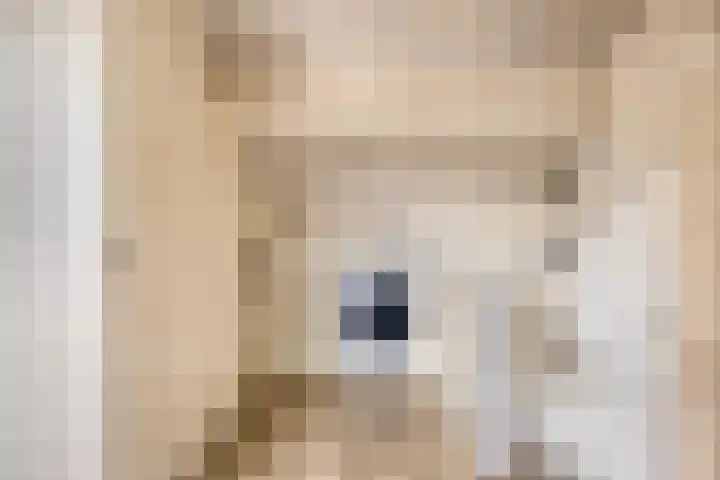 Tubahof 11 Etten-Leur thumbnail 21