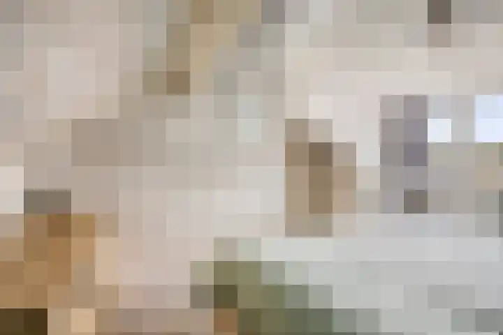 Tubahof 11 Etten-Leur thumbnail 23