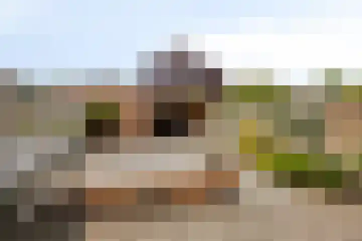 Tubahof 11 Etten-Leur thumbnail 25