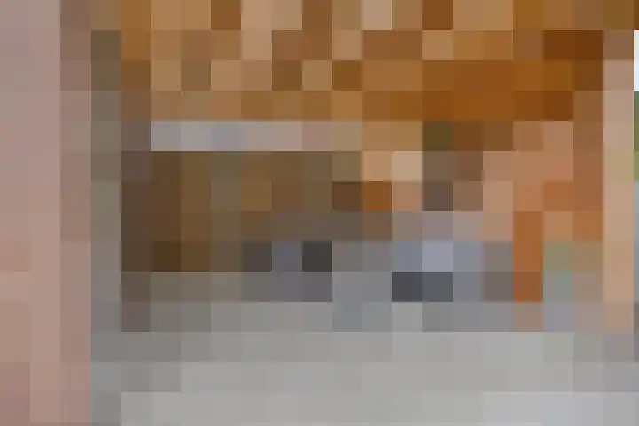 Tubahof 11 Etten-Leur thumbnail 26