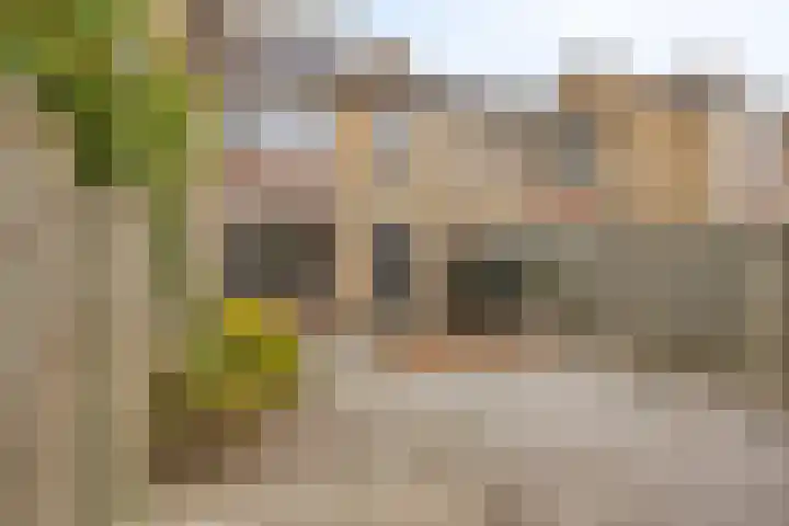 Tubahof 11 Etten-Leur thumbnail 28