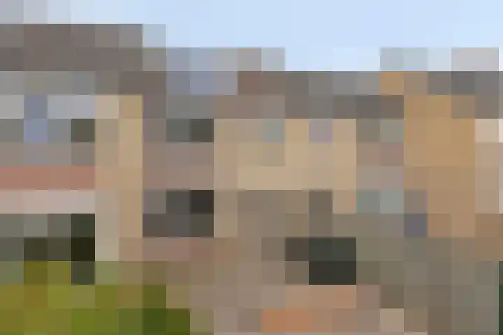 Tubahof 11 Etten-Leur thumbnail 30