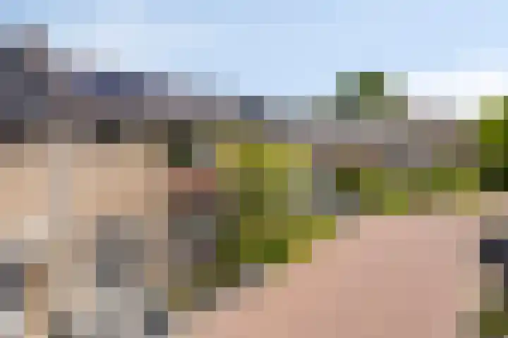 Tubahof 11 Etten-Leur thumbnail 32