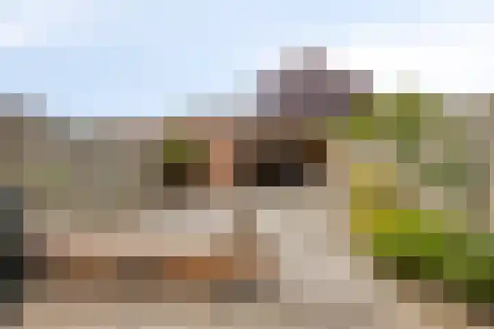 Tubahof 11 Etten-Leur thumbnail 4