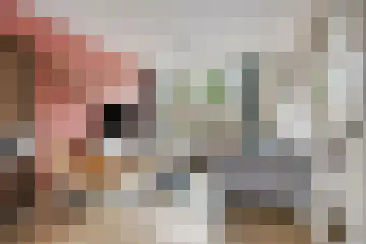 Tubahof 11 Etten-Leur thumbnail 5