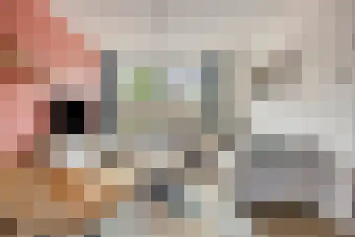 Tubahof 11 Etten-Leur thumbnail 6