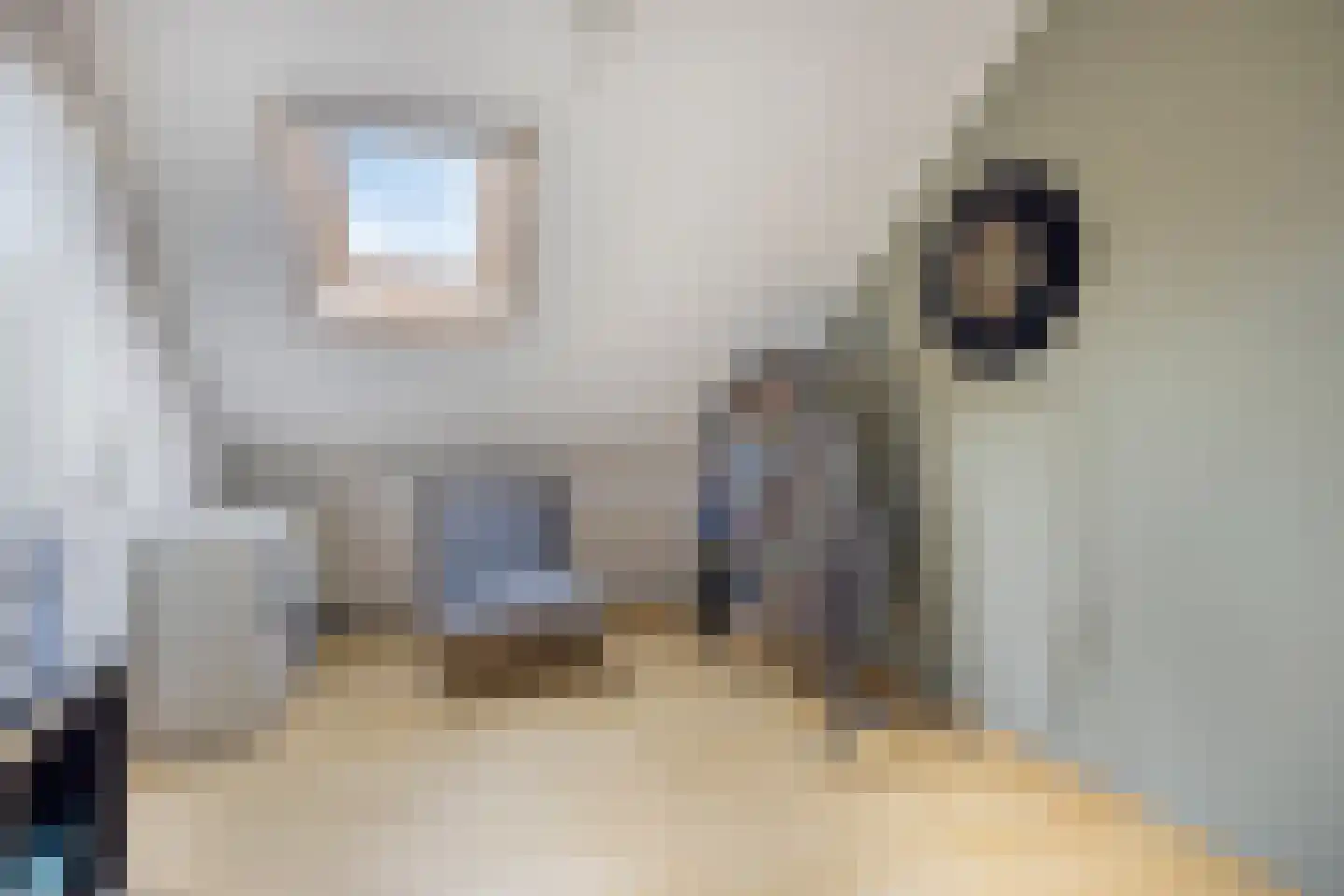 Tubalaan 3 Oldenzaal thumbnail 21