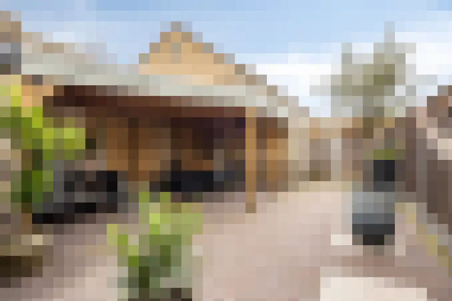 Tubalaan 3 Oldenzaal thumbnail 22