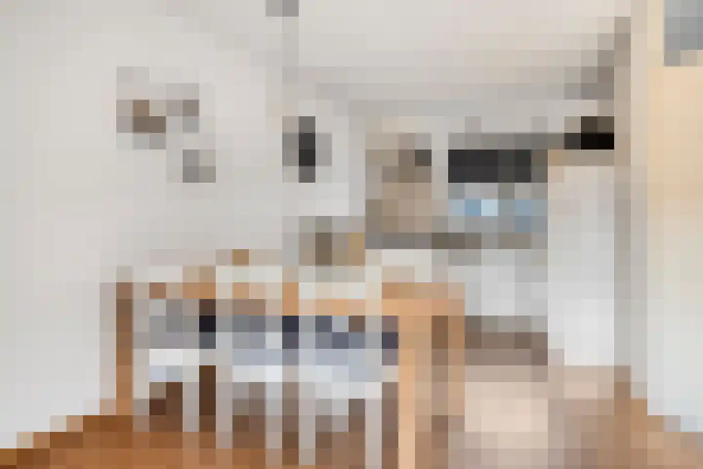 Tubalaan 5 Oldenzaal thumbnail 5