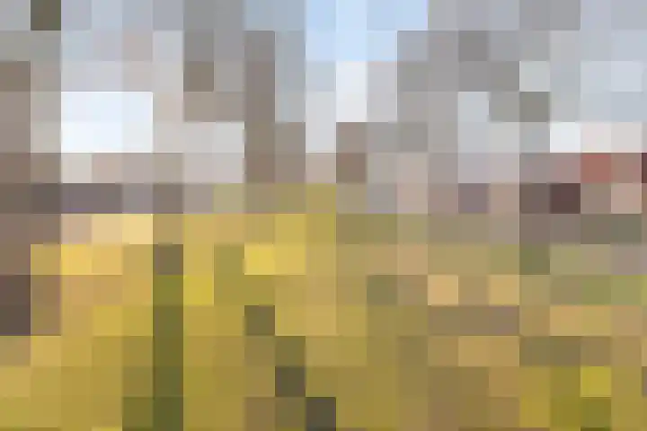 Tubalaan 9 Oldenzaal thumbnail 19