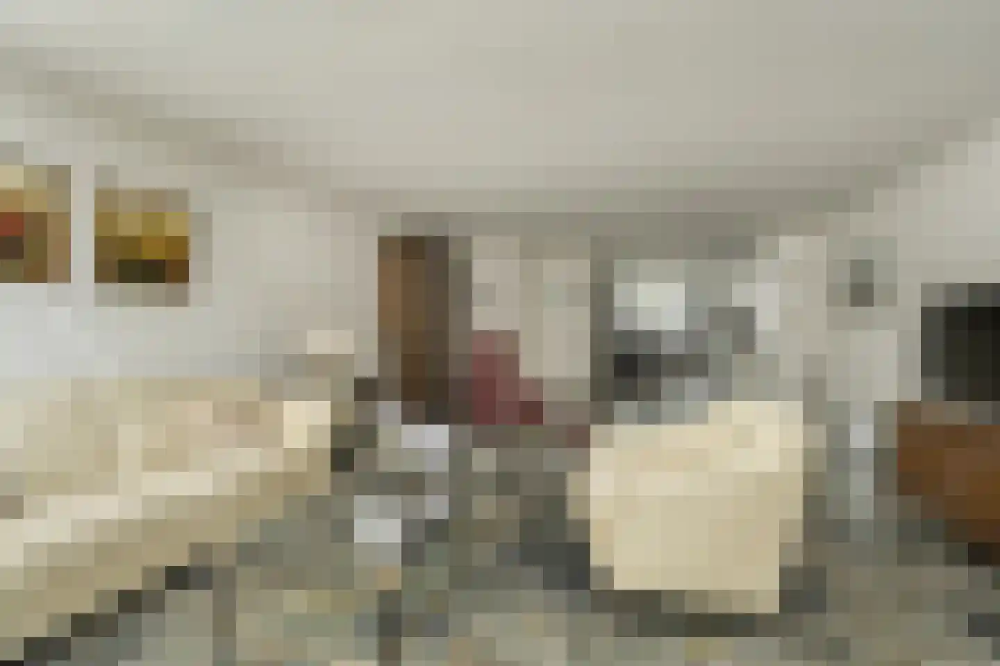 Tubantengaarde 2 Alphen aan den Rijn thumbnail 10