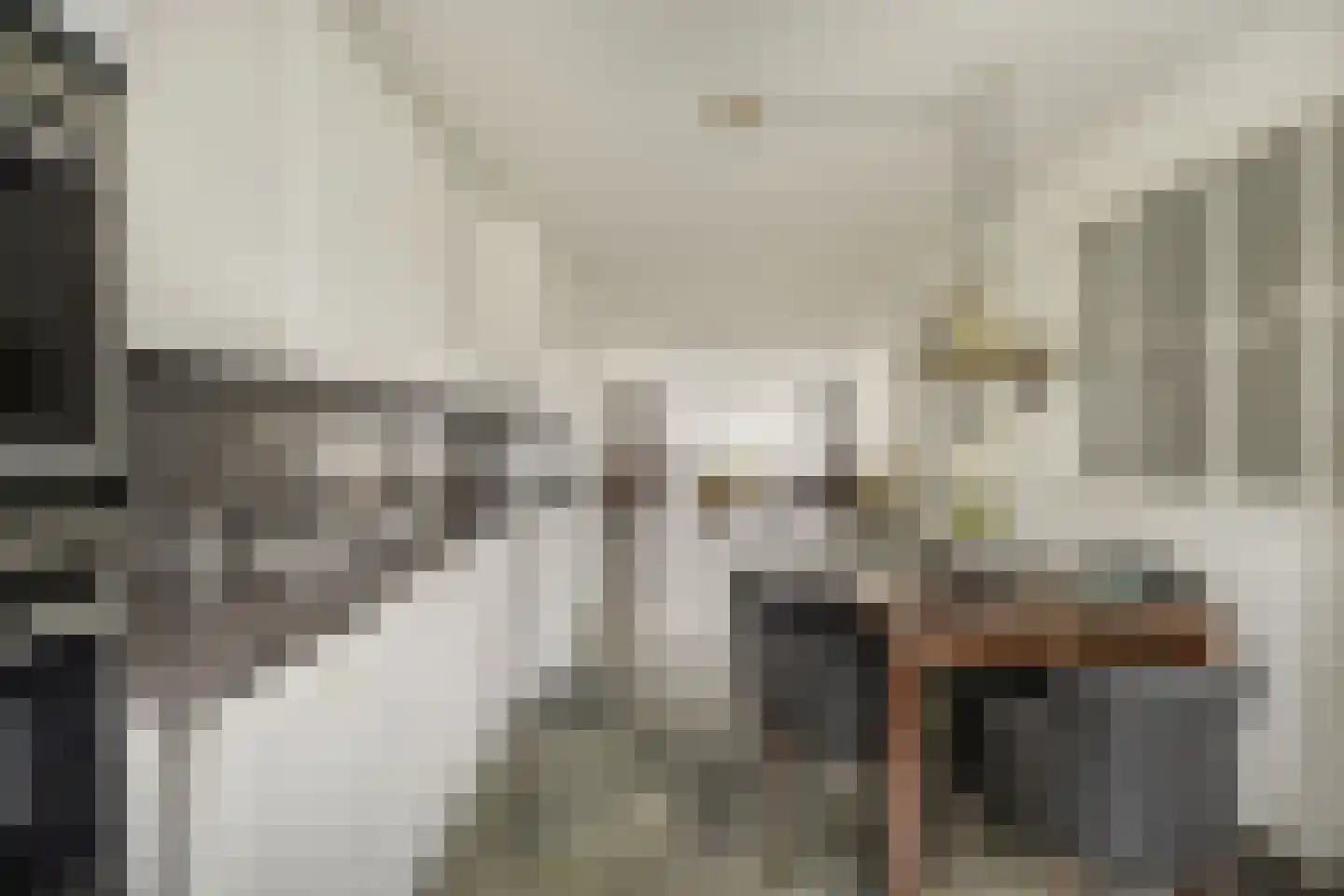 Tubantengaarde 2 Alphen aan den Rijn thumbnail 13