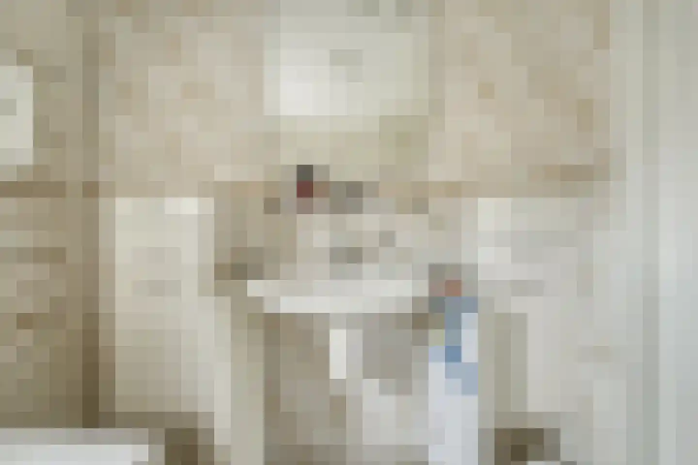 Tubantengaarde 2 Alphen aan den Rijn thumbnail 21